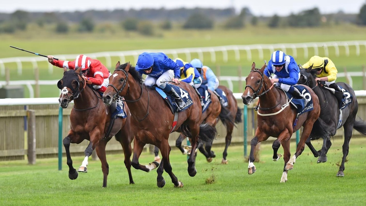 Preview : St James's Palace Stakes 2021 (Preview, 2021 Full ... Image 1